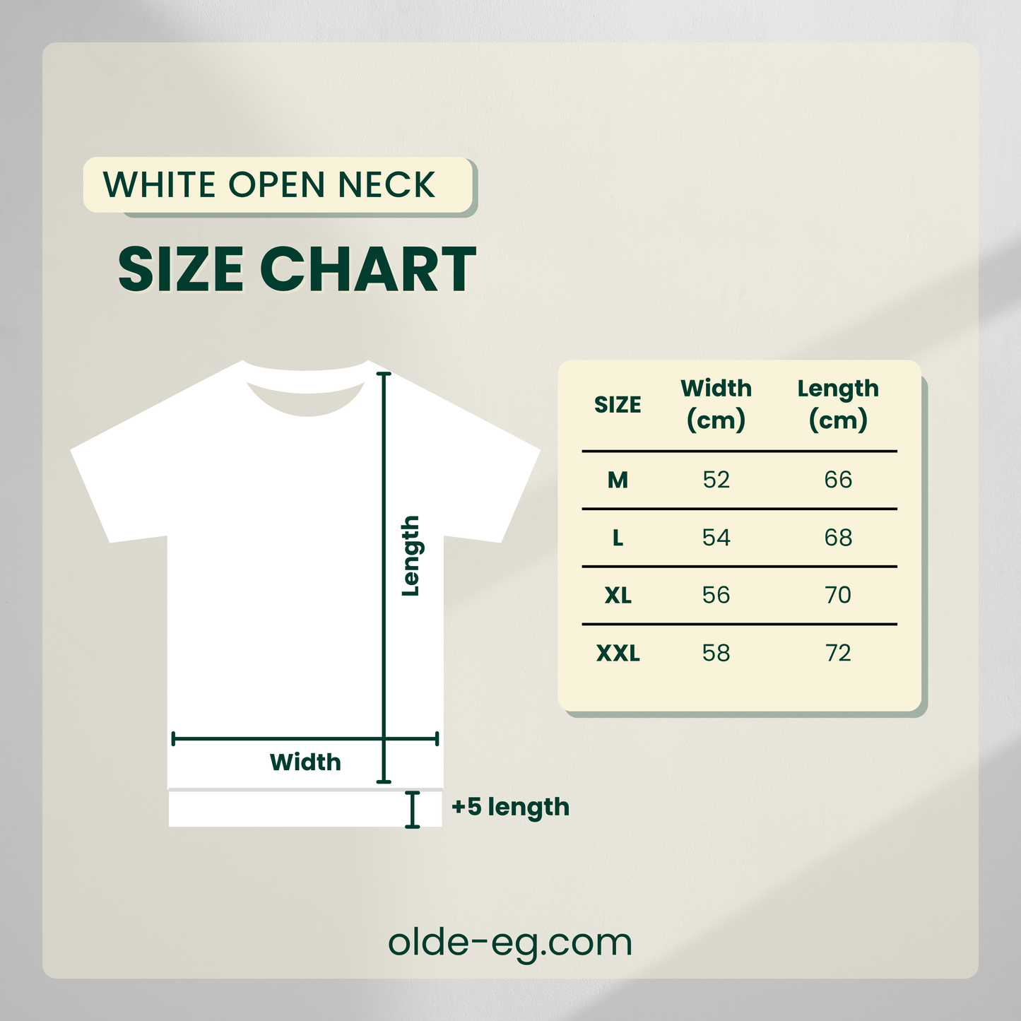 Regular Fit White V-Neck Polo